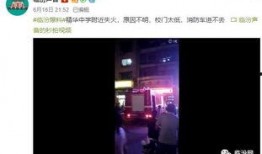 七星内部爆料视频,独家爆料视频深度解析